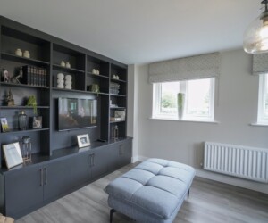 bespoke media unit